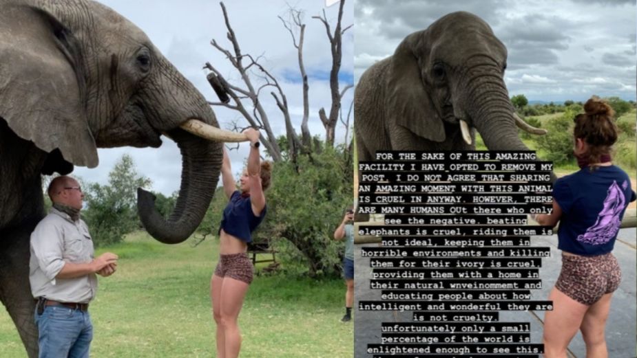 Mujer fitness se cuelga de los colmillos de un elefante para hacer ejercicio, desata polémica