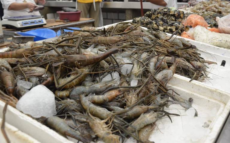 Se dispara en Tabasco precio de pescados y mariscos