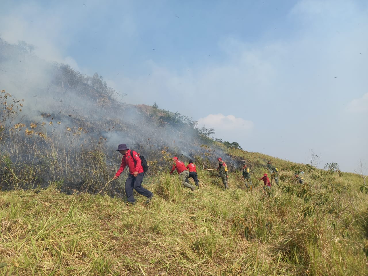 Arde el Mono Pelón; amenaza invadir poblado