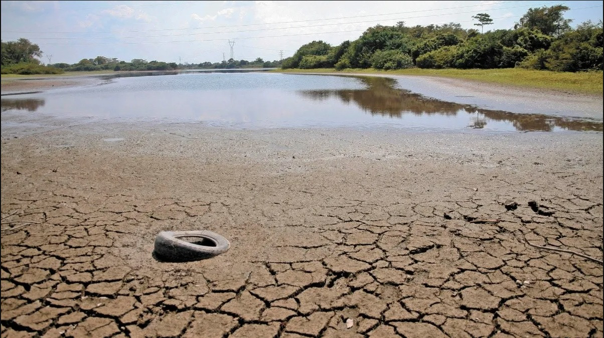 Golpea la sequía a 8 municipios