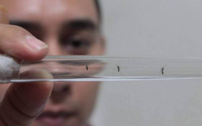 Acechan dengue, paludismo, influenza y Covid-19 a los tabasqueños