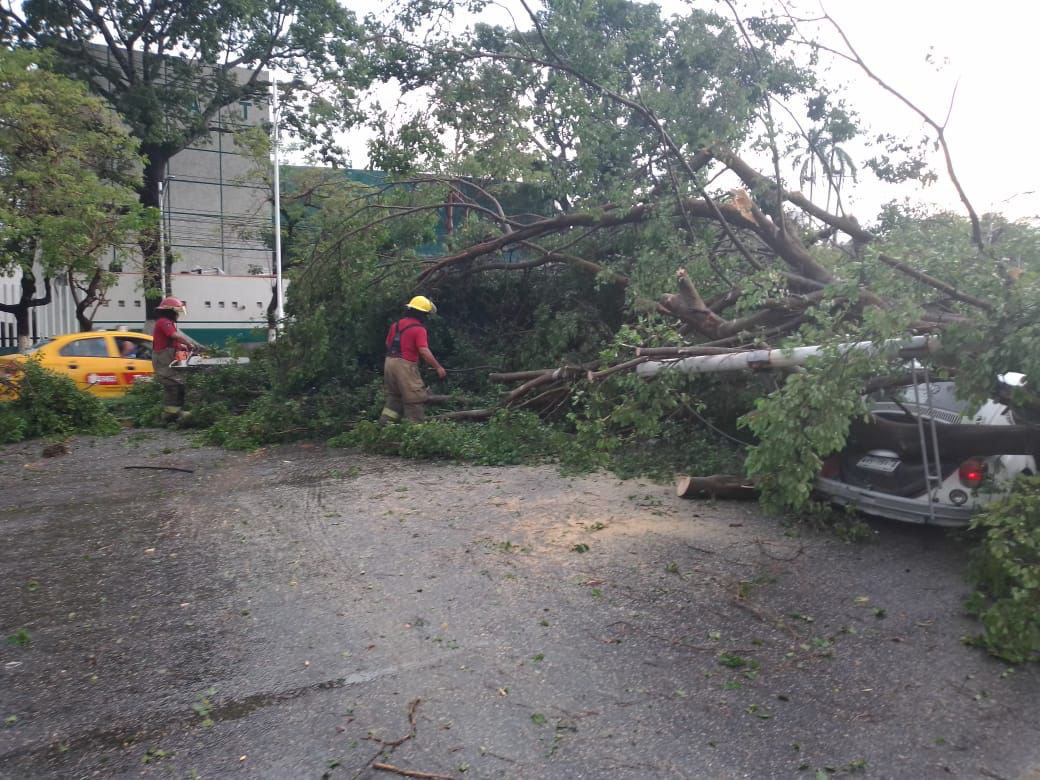 Dejó destrozos la tormenta a su paso por Villahermosa