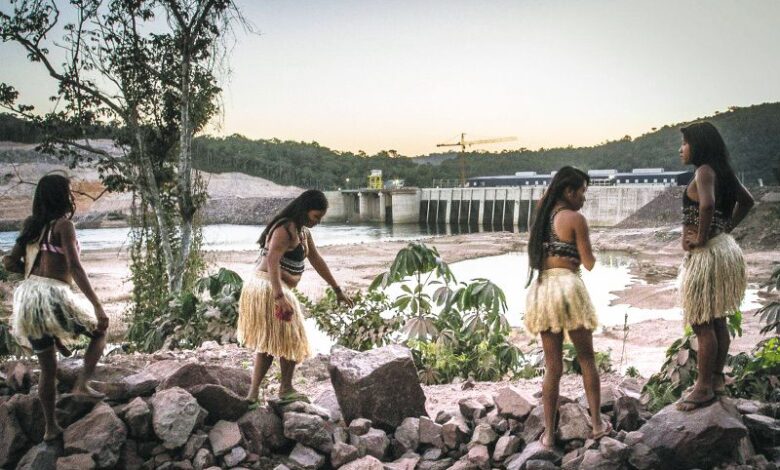 Abandonan la selva, los recibe la pobreza