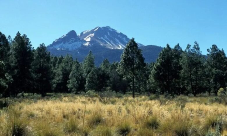 Asegura FRG “narcolaboratorio” en Parque La Malinche en Tlaxcala