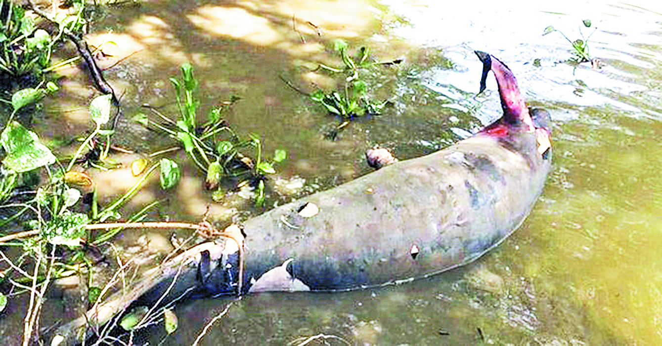 Temen riesgo sanitario en Los Bitzales