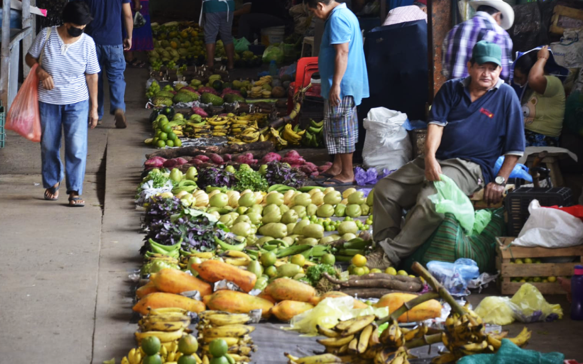 Reportan bajas ventas en tianguis campesino por ambulantaje