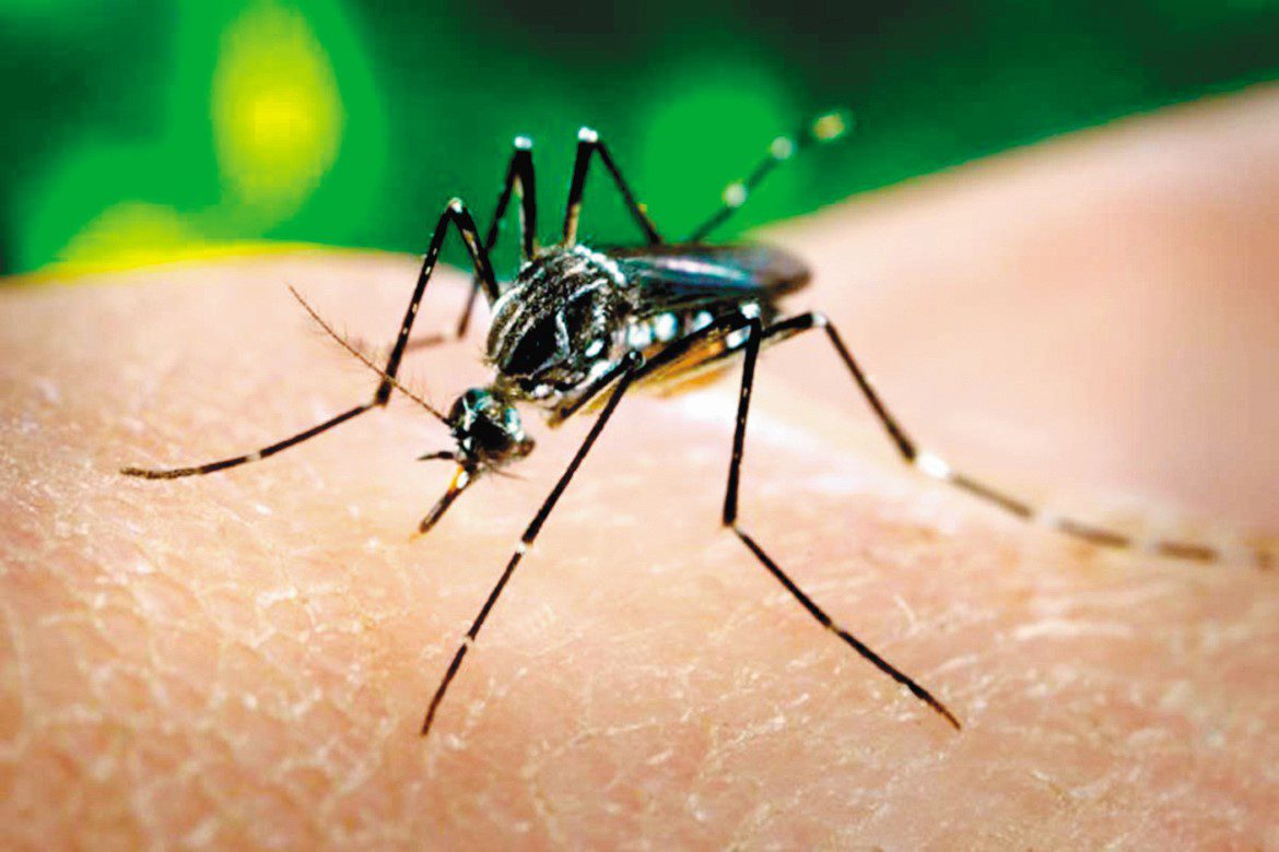 Van cuatro fallecidos por dengue