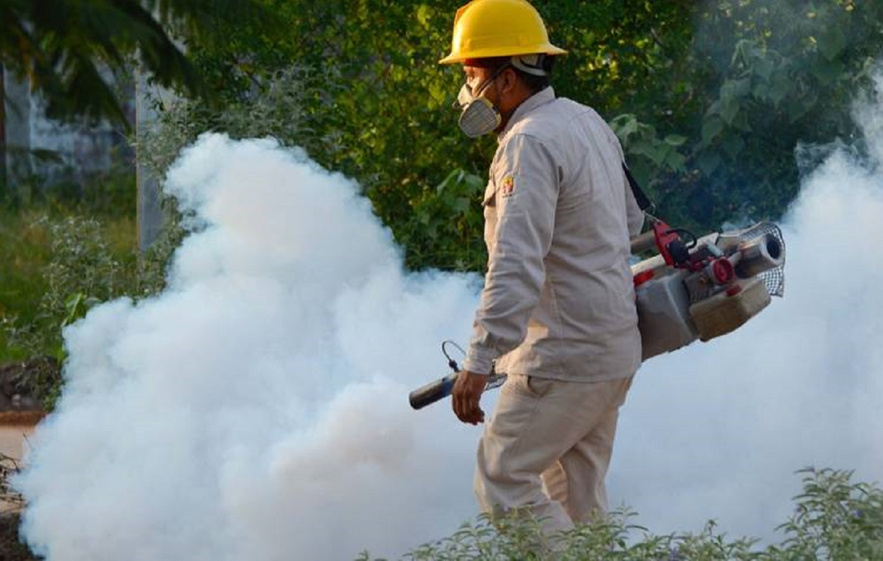 Mosquito del dengue no se ha vuelto resistente a la nebulización: Salud Tabasco