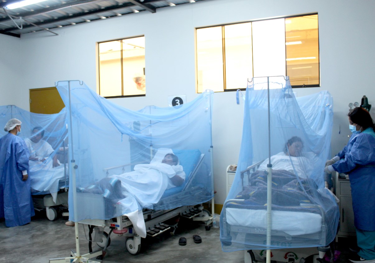 Confirma Salud 5 muertes por dengue en Tabasco