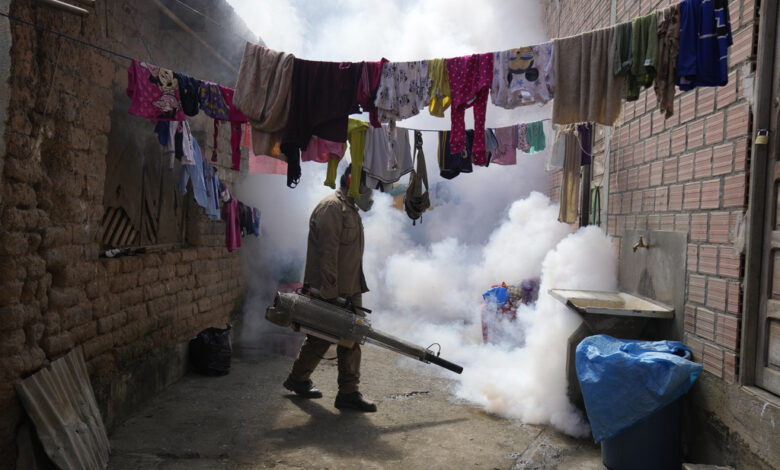 OMS dice que casos de dengue se han decuplicado en el mundo