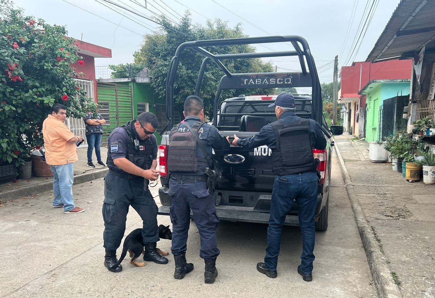 Rescatan a cachorro por maltrato animal en Teapa