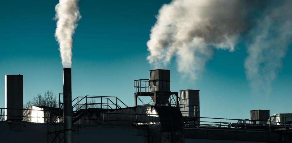 Combustibles fósiles, alcohol, tabaco y alimentos ultraprocesados cobran 19 millones de vidas al año en el mundo: OMS