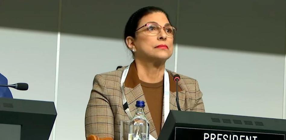 Pide presidenta de cámara de Diputados al INE frenar sobrerepresentación de Morena