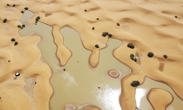 El agua fluye entre palmeras y dunas de arena tras inusuales lluvias en el desierto del Sahara