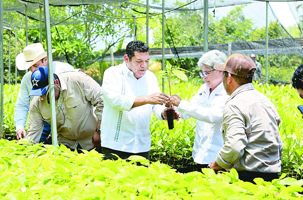 Enseñarán a chocos a ser productores