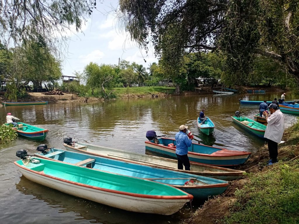 Pierde pesca 100 mdp por contaminación en Los Bitzales