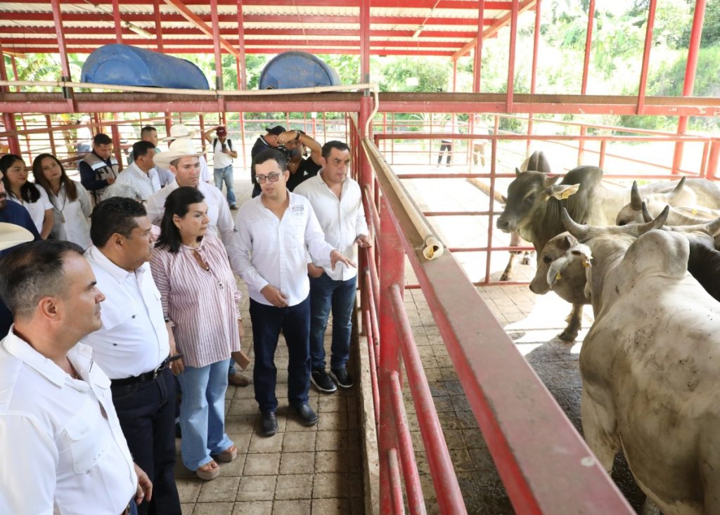 May destaca aportación del sector pecuario a la producción de alimento