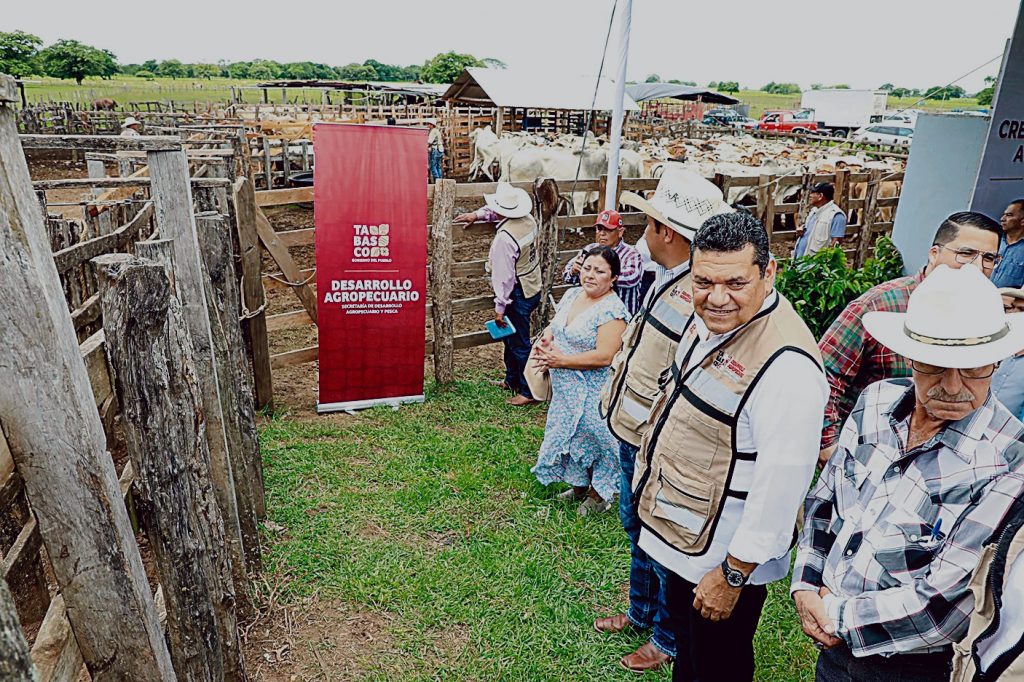Crédito Ganadero a la Palabra: “Ningún otro estado fortalece los programas productivos”