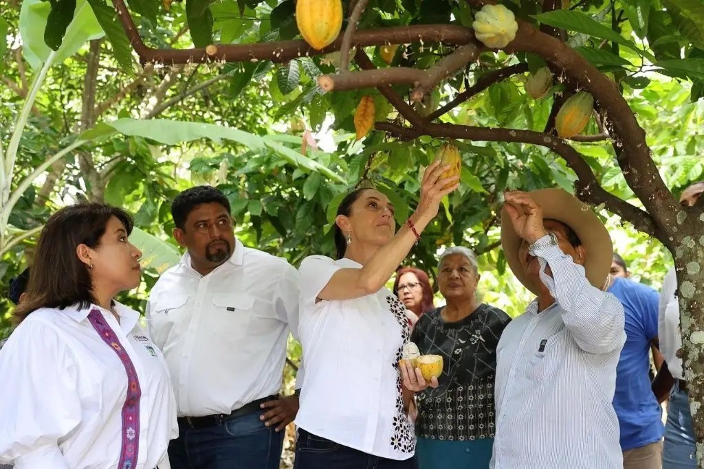 Regresa la Presidenta a Tabasco