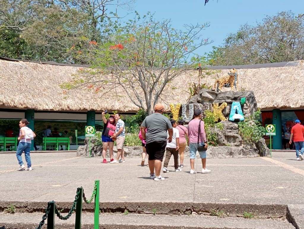 Recuperan 25 mdp por transas en Yumká