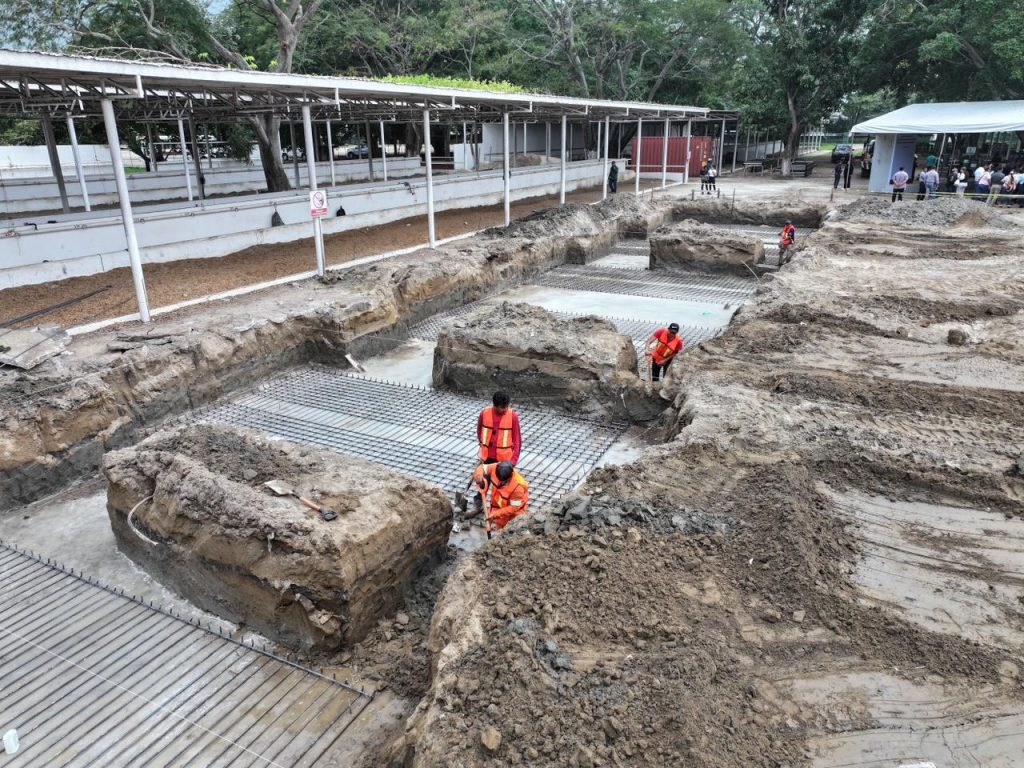 Tabasco, a la elite de la ganadería