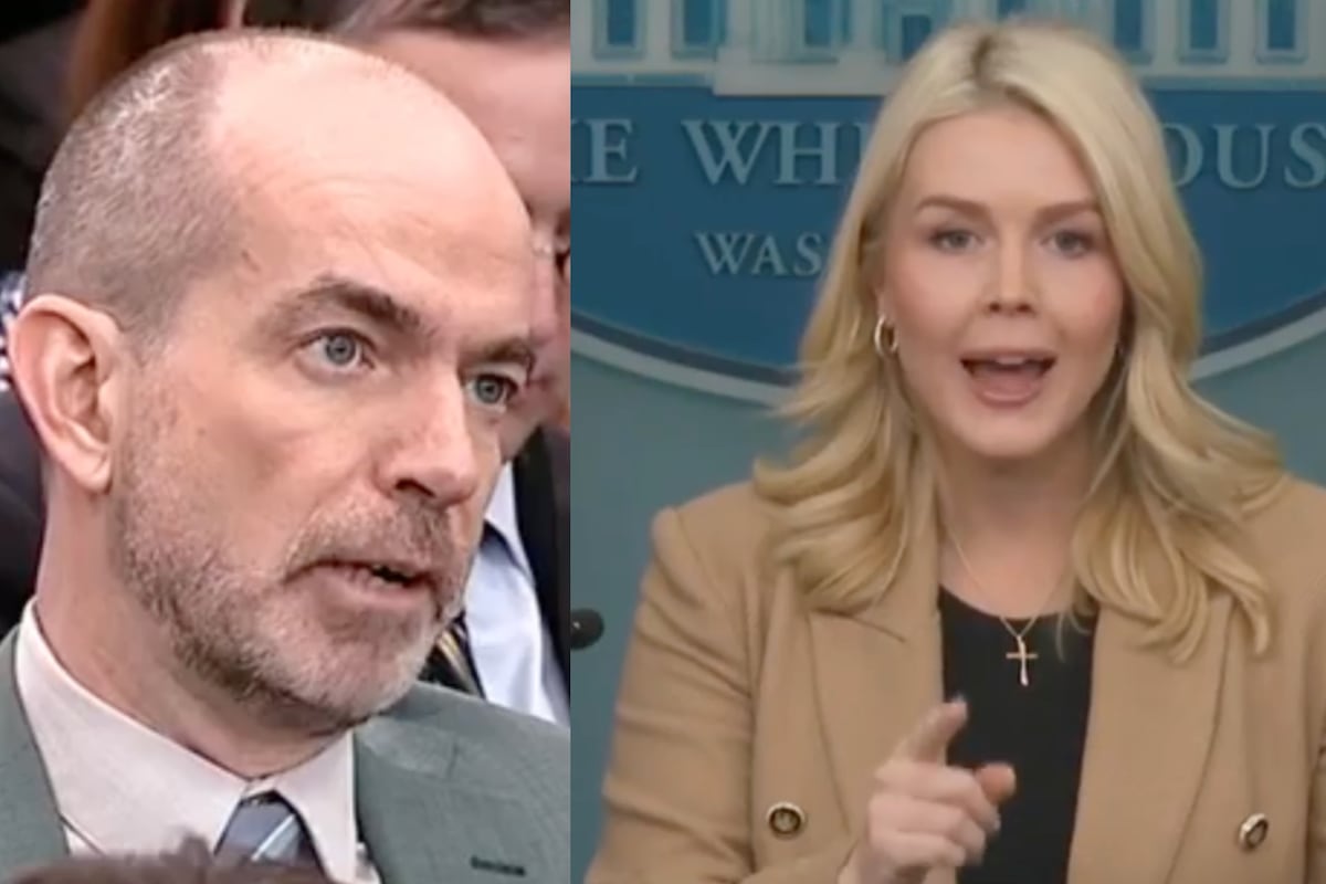 Escándalo en el Corazón del Poder: La Vocera de la Casa Blanca se Desata en un Furioso Ataque contra Periodista Investigador