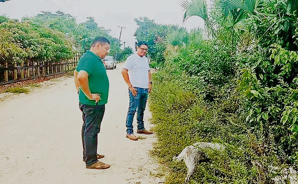 Investigan brote de barrenador en Jonuta