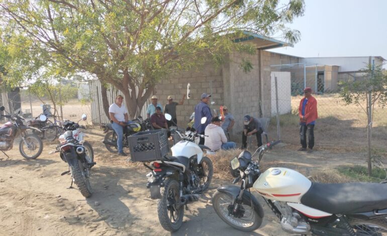 Productores de mango exigen pago de precios justos; bloquean accesos a dos empacadoras en Oaxaca