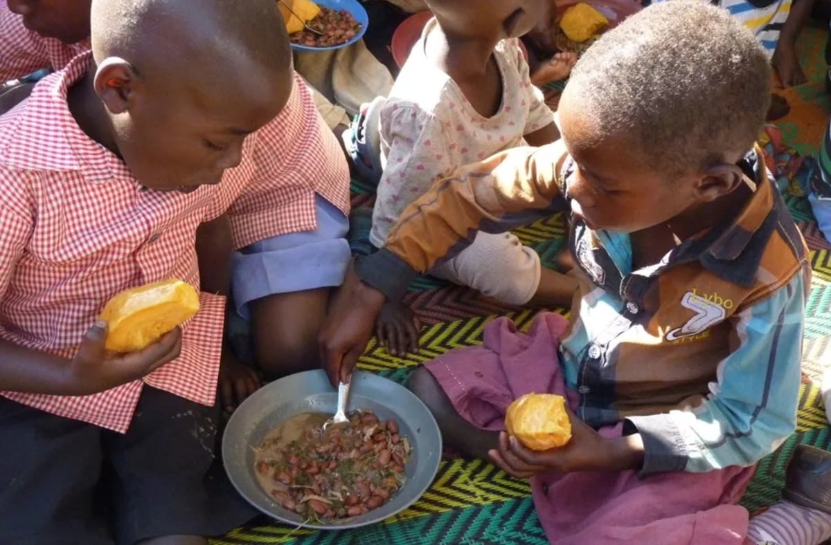 Casi 5 millones de niños menores de 5 años mueren en el mundo: causas y factores detrás del nuevo informe de la OMS